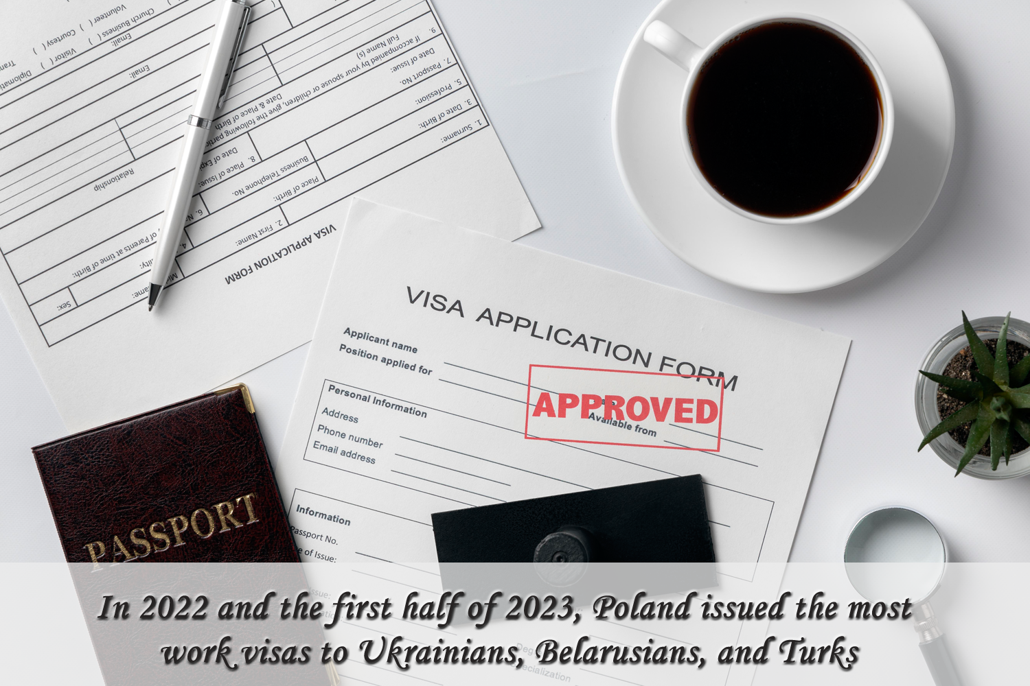 In 2022 and the first half of 2023, Poland issued the most work visas to Ukrainians, Belarusians, and Turks.