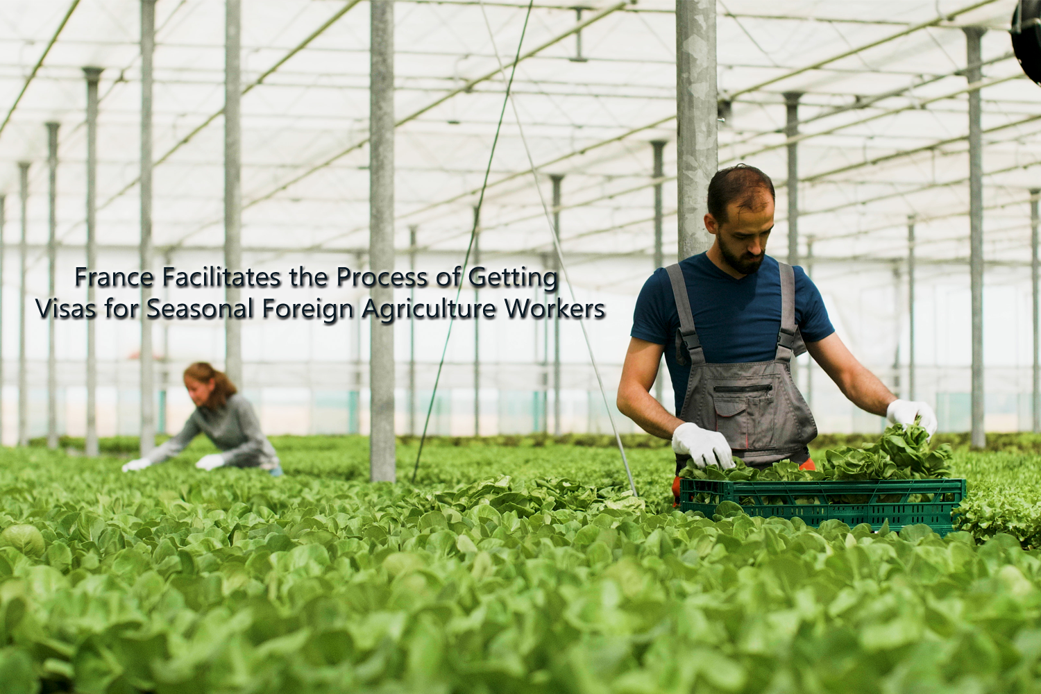 France Facilitates the Process of Getting Visas for Seasonal Foreign Agriculture Workers.